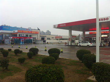 Servo macchina dell'autolavaggio nelle stazioni di servizio di Sinopec