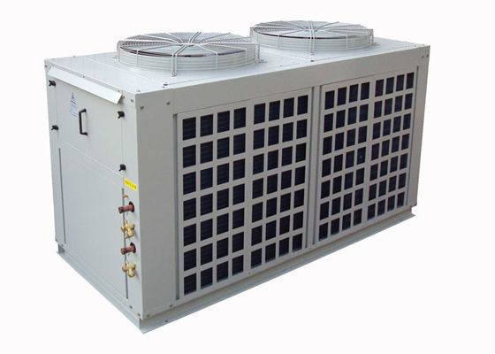 Multi condizionatore d'aria spaccato canalizzato R22 con il compressore ermetico del rotolo